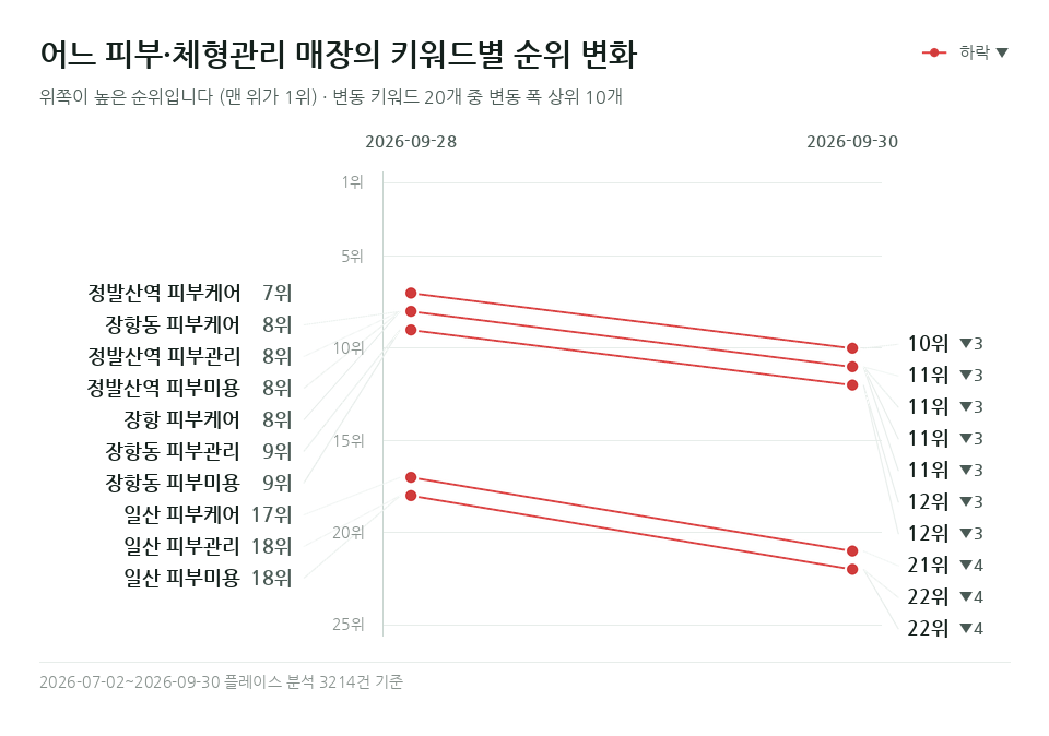어느 피부·체형관리 매장 '일산 피부케어' 등 키워드 20개의 순위 변화